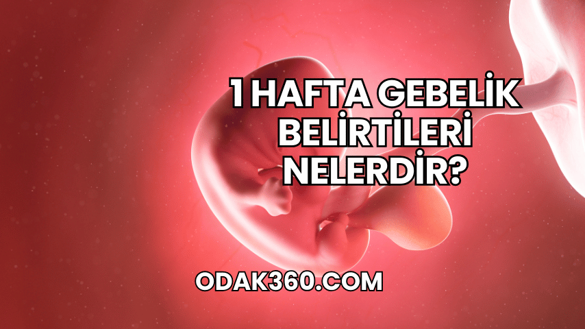 1 Hafta Gebelik Belirtileri Nelerdir?