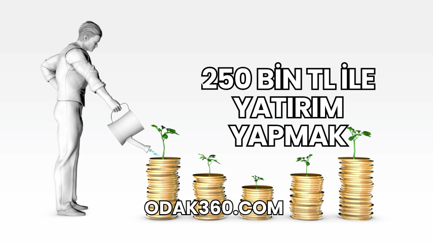 250 Bin TL ile Yatırım Yapmak