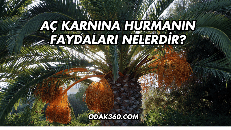 Aç Karnına Hurmanın Faydaları Nelerdir?