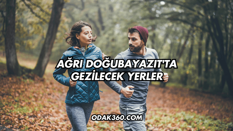 Ağrı Doğubayazıt'ta Gezilecek Yerler