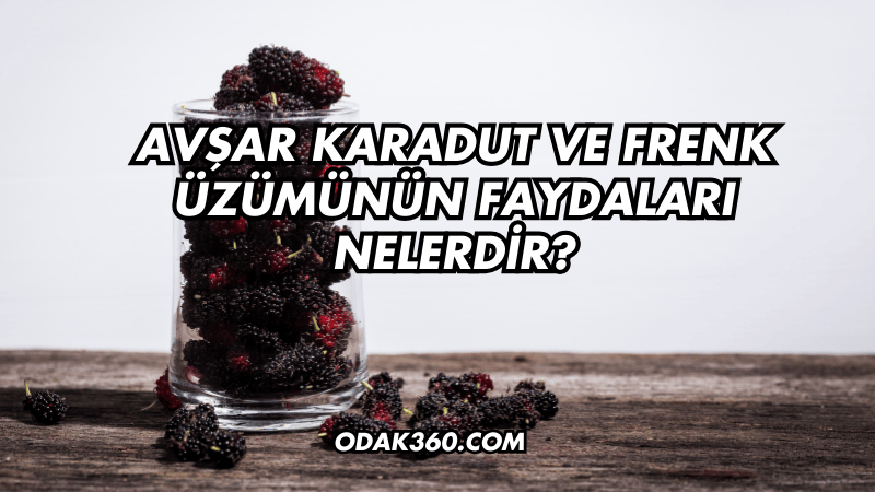 Avşar Karadut ve Frenk Üzümünün Faydaları Nelerdir?