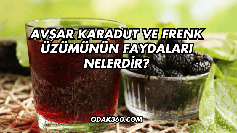 Avşar Karadut ve Frenk Üzümünün Faydaları Nelerdir?