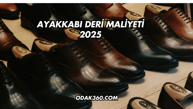 Ayakkabı Deri Maliyeti 2025