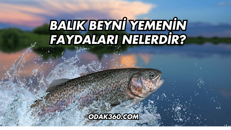 Balık Beyni Yemenin Faydaları Nelerdir?