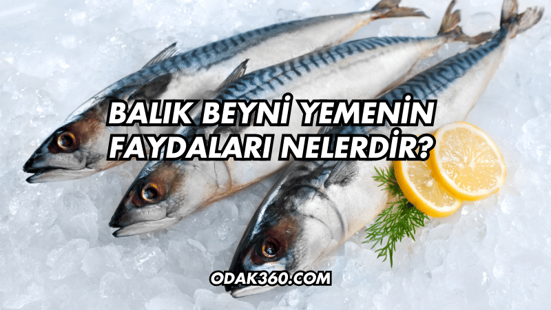 Balık Beyni Yemenin Faydaları Nelerdir?