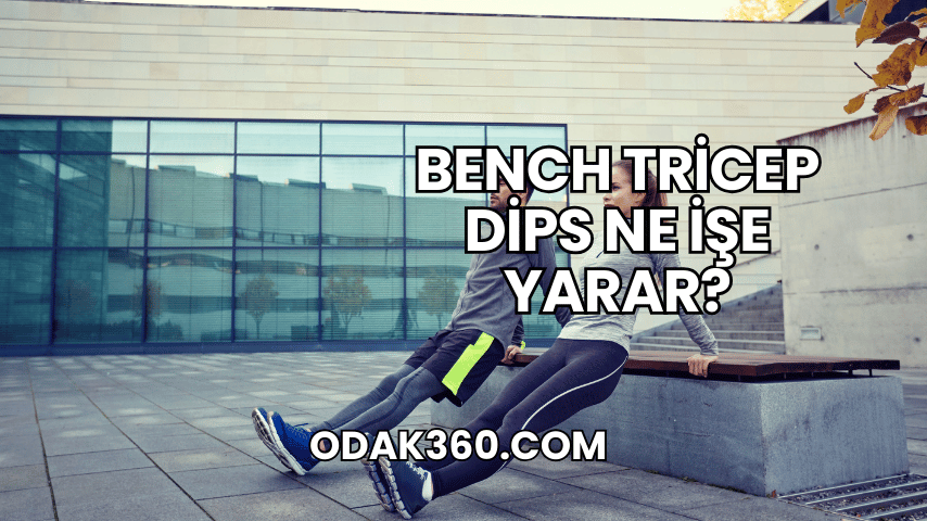 Bench Tricep Dips Ne İşe Yarar?