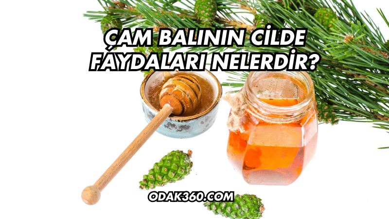 Çam Balının Cilde Faydaları Nelerdir?