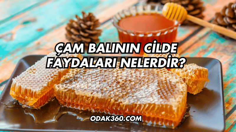 Çam Balının Cilde Faydaları Nelerdir?