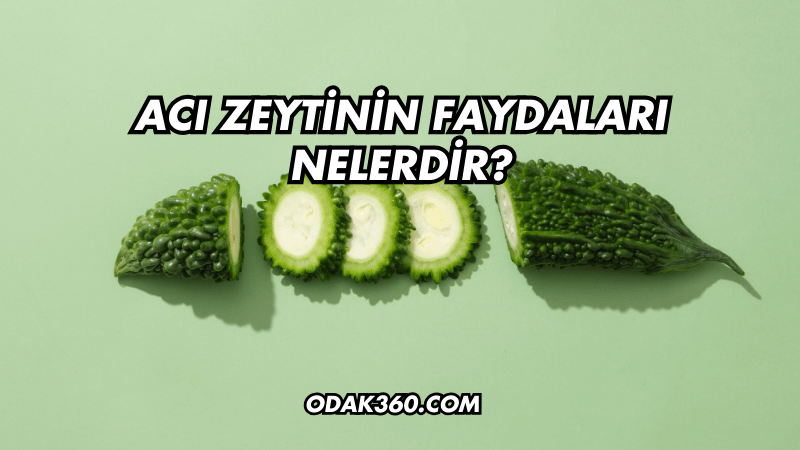 Acı Zeytinin Faydaları Nelerdir?