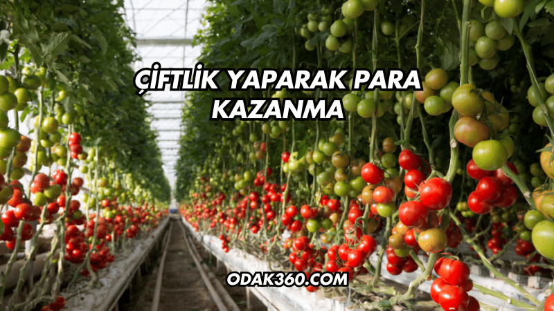 Çiftlik Yaparak Para Kazanma