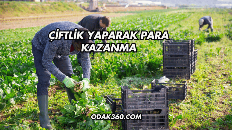 Çiftlik Yaparak Para Kazanma