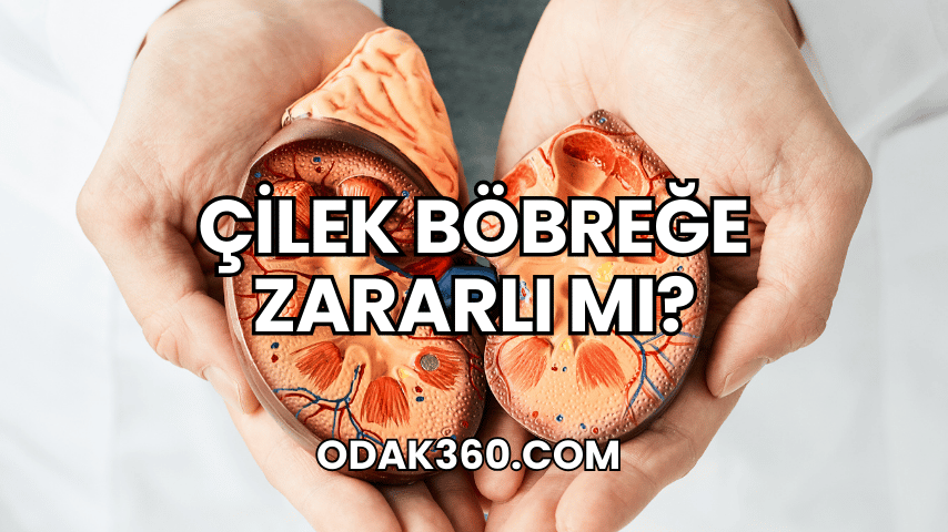 Çilek Böbreğe Zararlı mı?