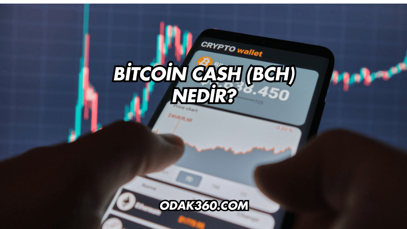 Bitcoin Cash (BCH) Nedir?