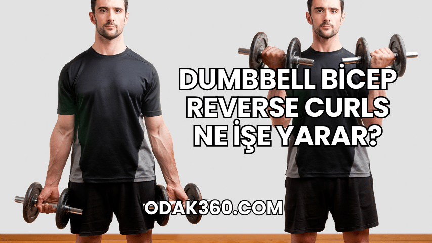 Dumbbell Bicep Reverse Curls Ne İşe Yarar?