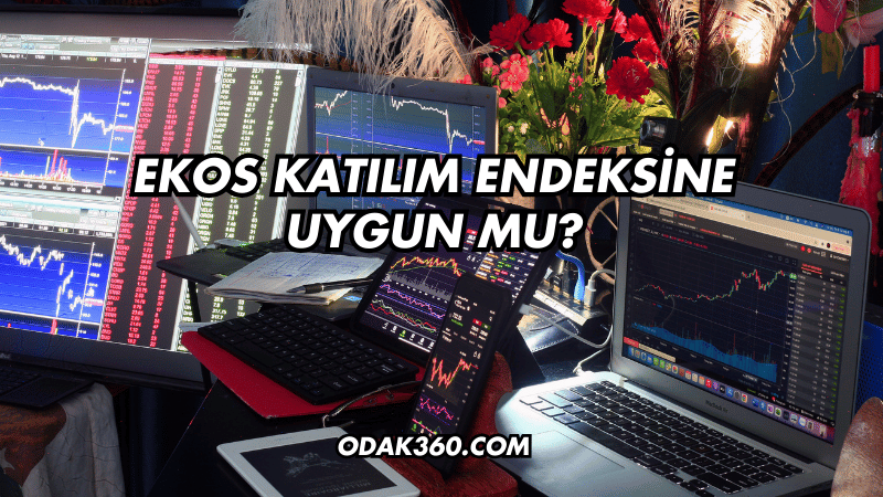 Ekos Katılım Endeksine Uygun mu?