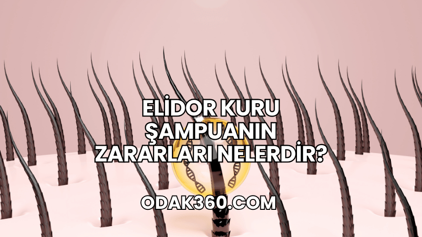 Elidor Kuru Şampuanın Zararları Nelerdir?