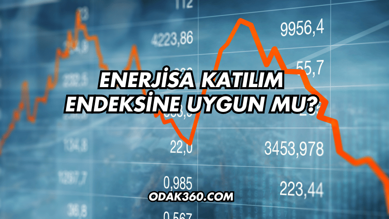 Enerjisa Katılım Endeksine Uygun mu?