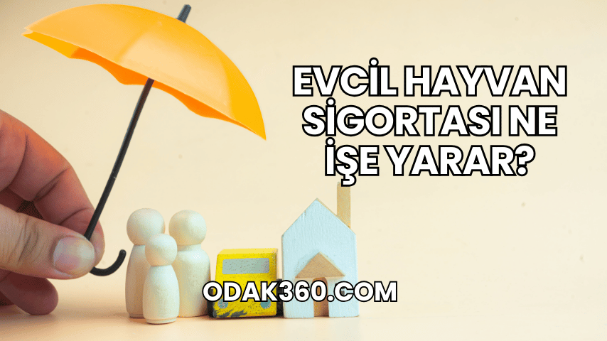 Evcil Hayvan Sigortası Ne İşe Yarar?