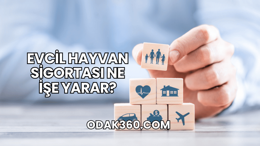 Evcil Hayvan Sigortası Ne İşe Yarar?