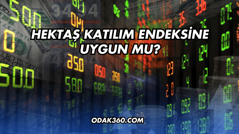 Hektaş Katılım Endeksine Uygun mu?