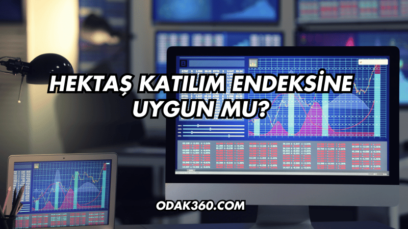 Hektaş Katılım Endeksine Uygun mu?