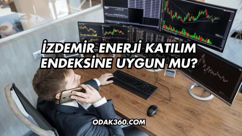 İZDEMİR Enerji Katılım Endeksine Uygun mu?