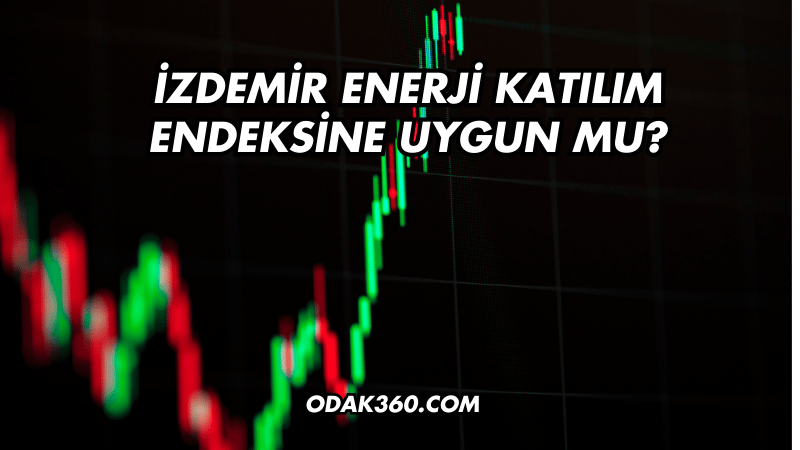 İZDEMİR Enerji Katılım Endeksine Uygun mu?