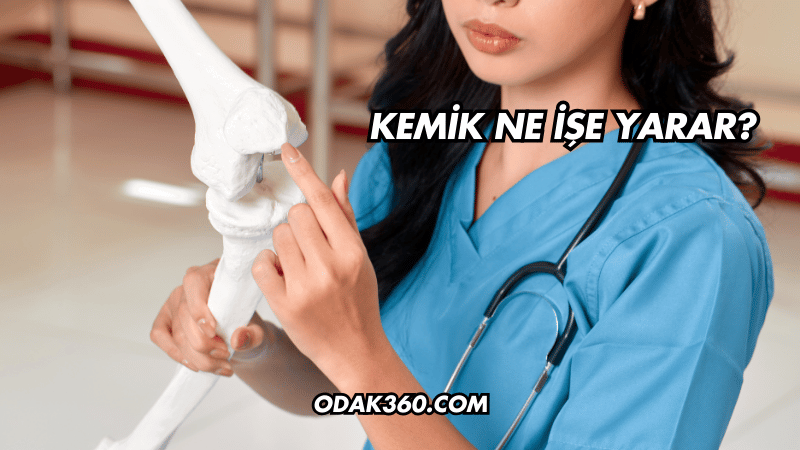 Kemik Ne İşe Yarar?