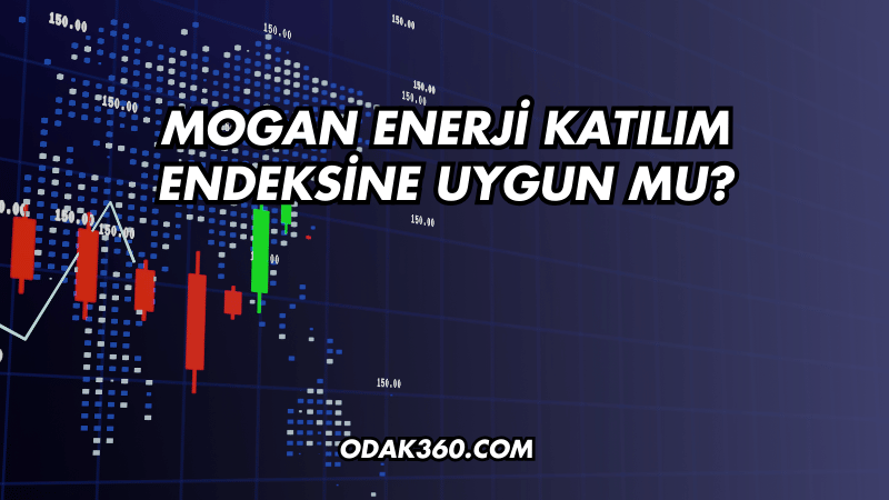 Mogan Enerji Katılım Endeksine Uygun mu?