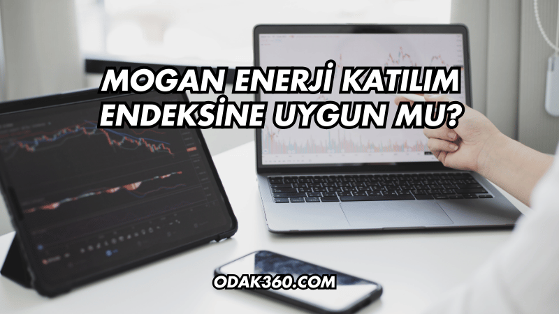 Mogan Enerji Katılım Endeksine Uygun mu?