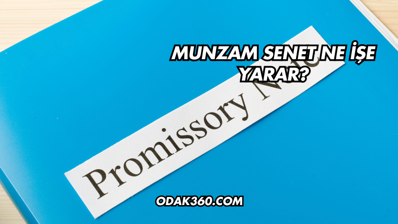 Munzam Senet Ne İşe Yarar?