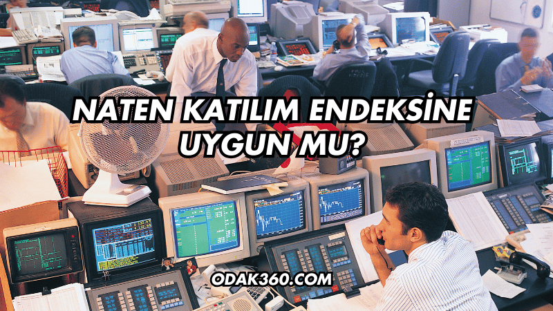 Naten Katılım Endeksine Uygun mu?