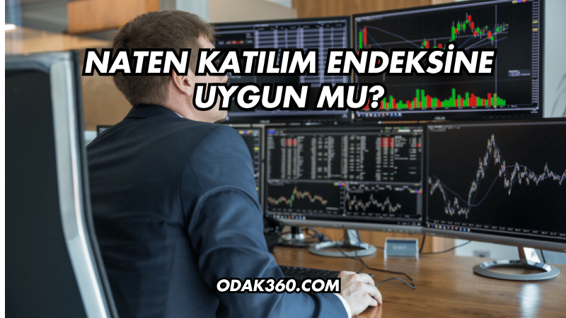 Naten Katılım Endeksine Uygun mu?