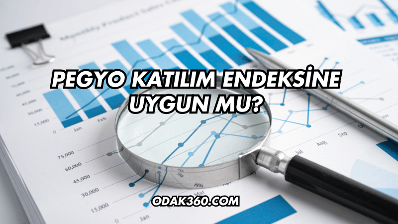 Pegyo Katılım Endeksine Uygun mu?