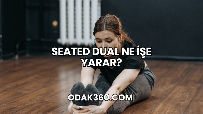 Seated Dual Ne İşe Yarar?