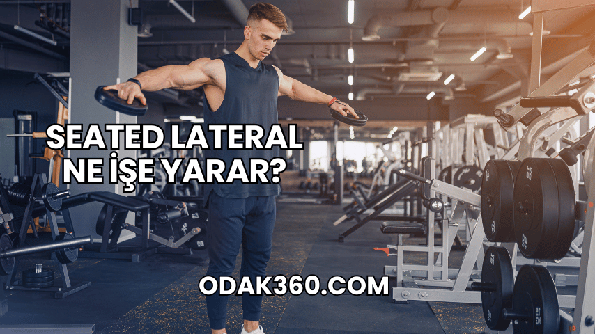 Seated Lateral Ne İşe Yarar?