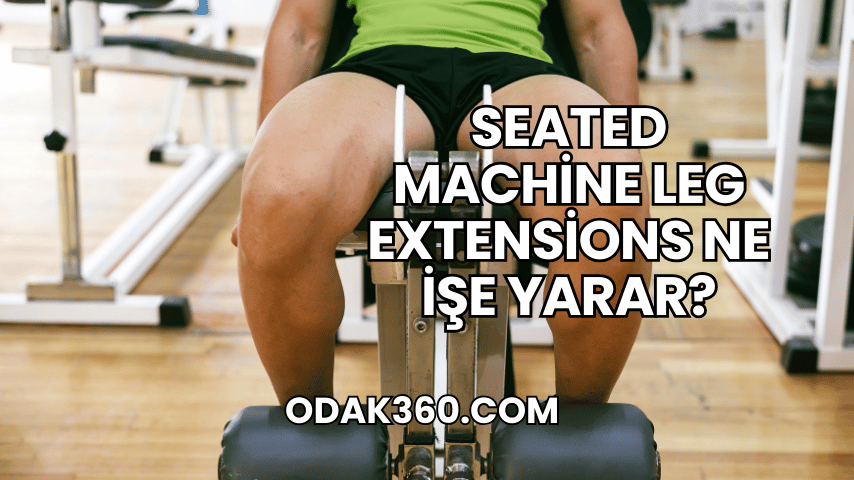 Seated Machine Leg Extensions Ne İşe Yarar?