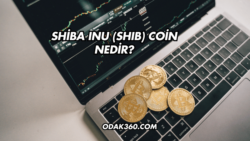 Shiba Inu (SHIB) Coin Nedir?