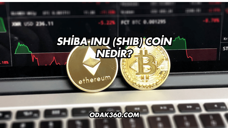 Shiba Inu (SHIB) Coin Nedir?