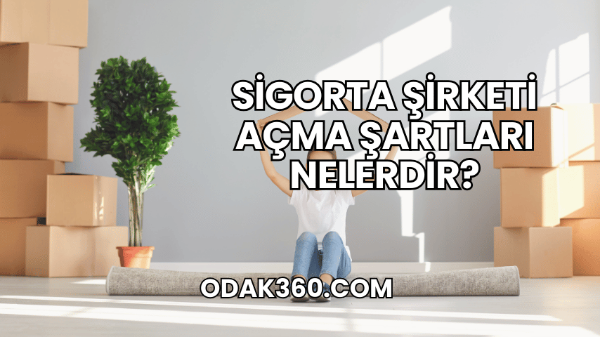 Sigorta Şirketi Açma Şartları Nelerdir?