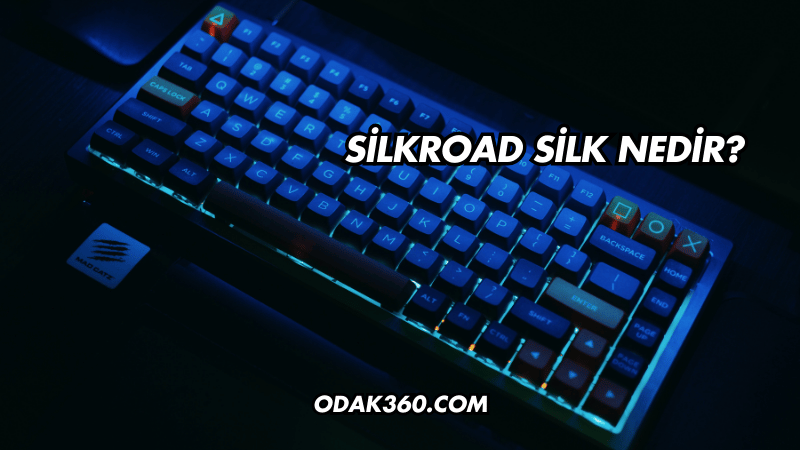 Silkroad Silk Nedir?