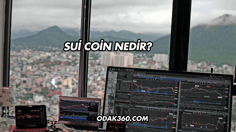 Sui Coin Nedir?