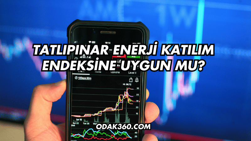 Tatlıpınar Enerji Katılım Endeksine Uygun mu?