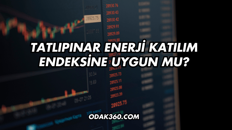 Tatlıpınar Enerji Katılım Endeksine Uygun mu?