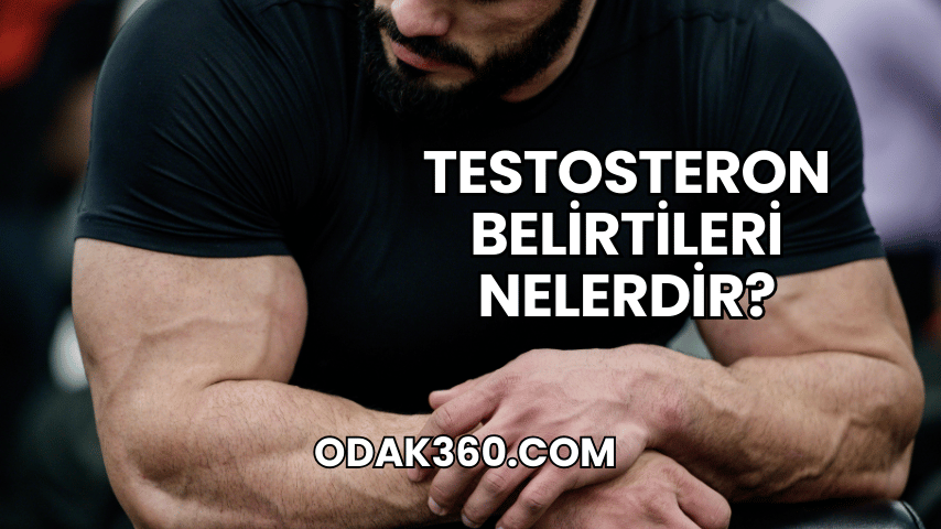 Testosteron Belirtileri Nelerdir?