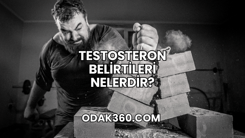 Testosteron Belirtileri Nelerdir?