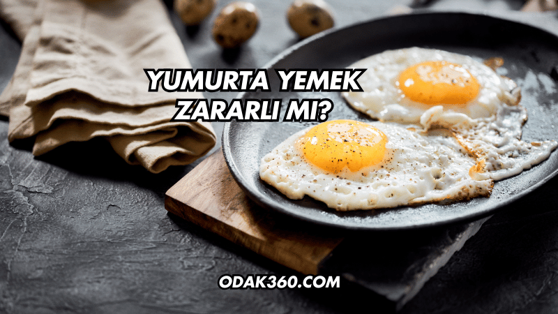 Yumurta Yemek Zararlı mı?