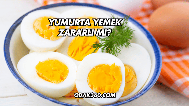 Yumurta Yemek Zararlı mı?