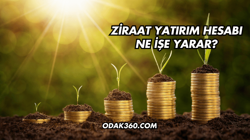 Ziraat Yatırım Hesabı Ne İşe Yarar?