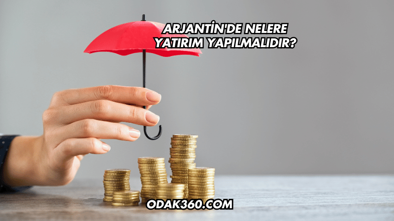 Arjantin'de Nelere Yatırım Yapılmalıdır?